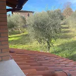 Mirasole *
