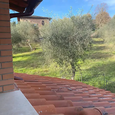 Mirasole *