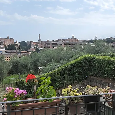 Mirasole