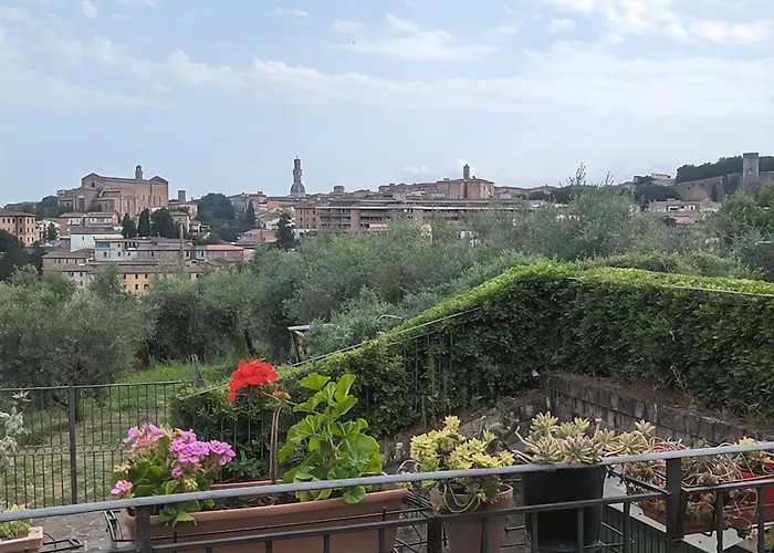 Mirasole